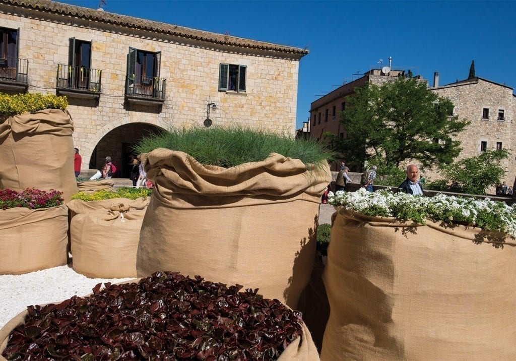 Sac de Llavors