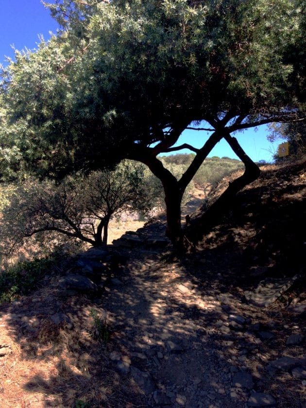 wandern