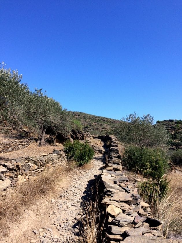wandern weg