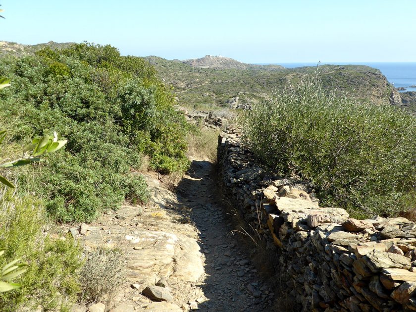 wandern weg