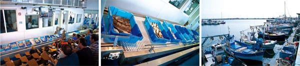 Fischereihafen in Roses und Fischversteigerung