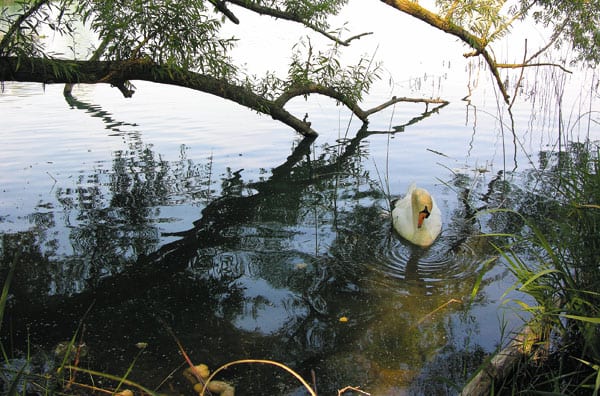 Wanderung um den See von Banyoles