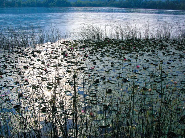 Banyolessee an der Costa Brava