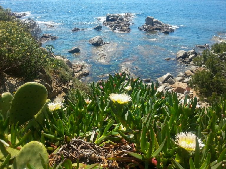 Wanderung – Calella de Palafrugell nach Tamariu