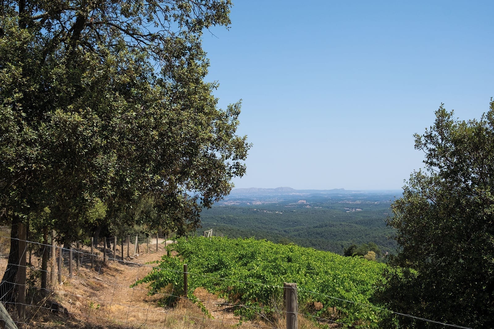 Las Gavarras, panorama, réserve naturelle