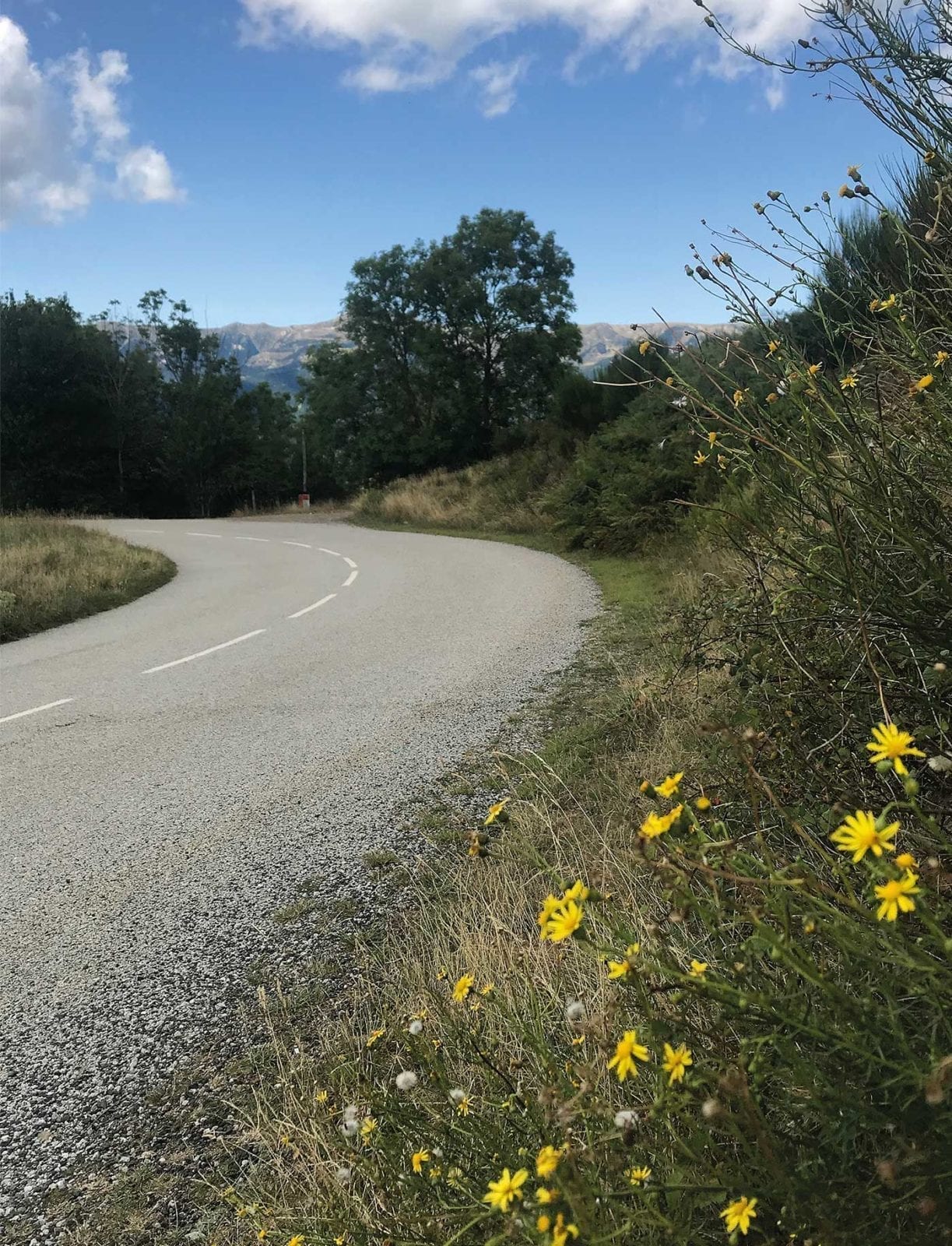 berge pflanzen katalonien