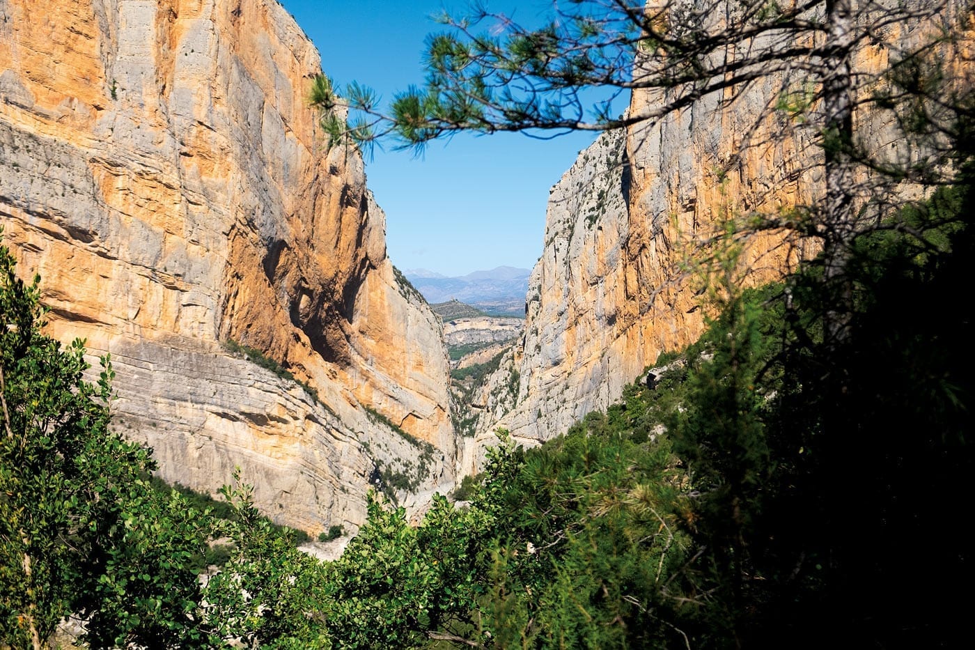 nature, montsec, catalonia, congost de montrebei, hiking, gorge, forest