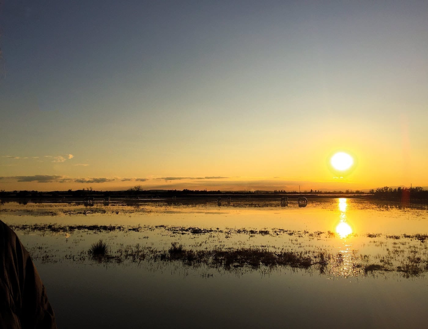 wandern, naturschutzgebiet, naturpark , mediterran, flamingo, camargue, berge, sumpfgebiet