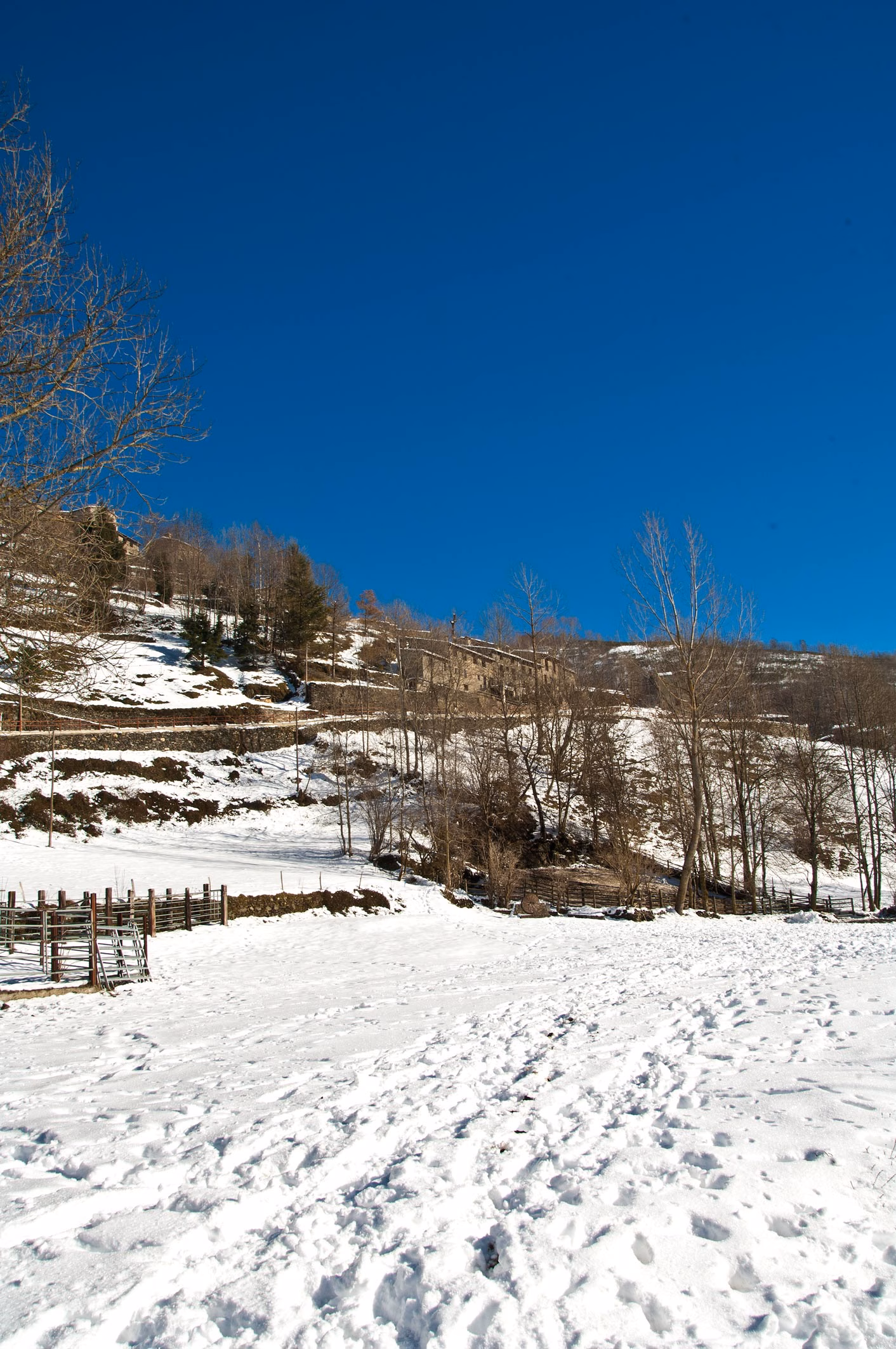 Winterimpression Molló 14