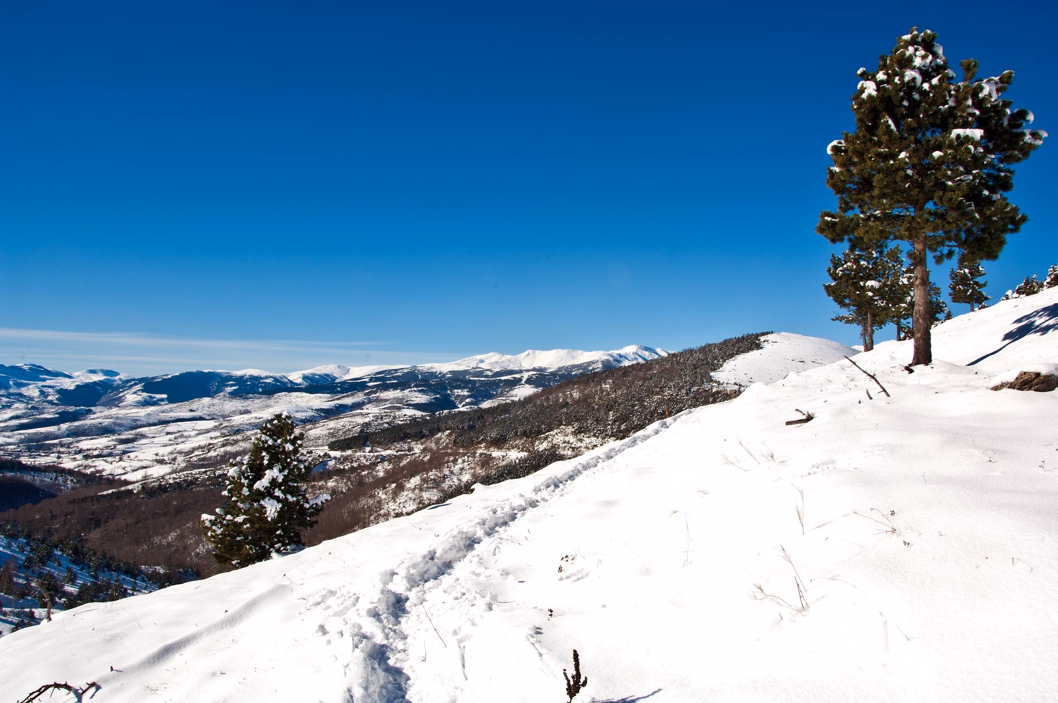 Kirche und Dorfansicht in Molló im Winter mit Schnee am Hang