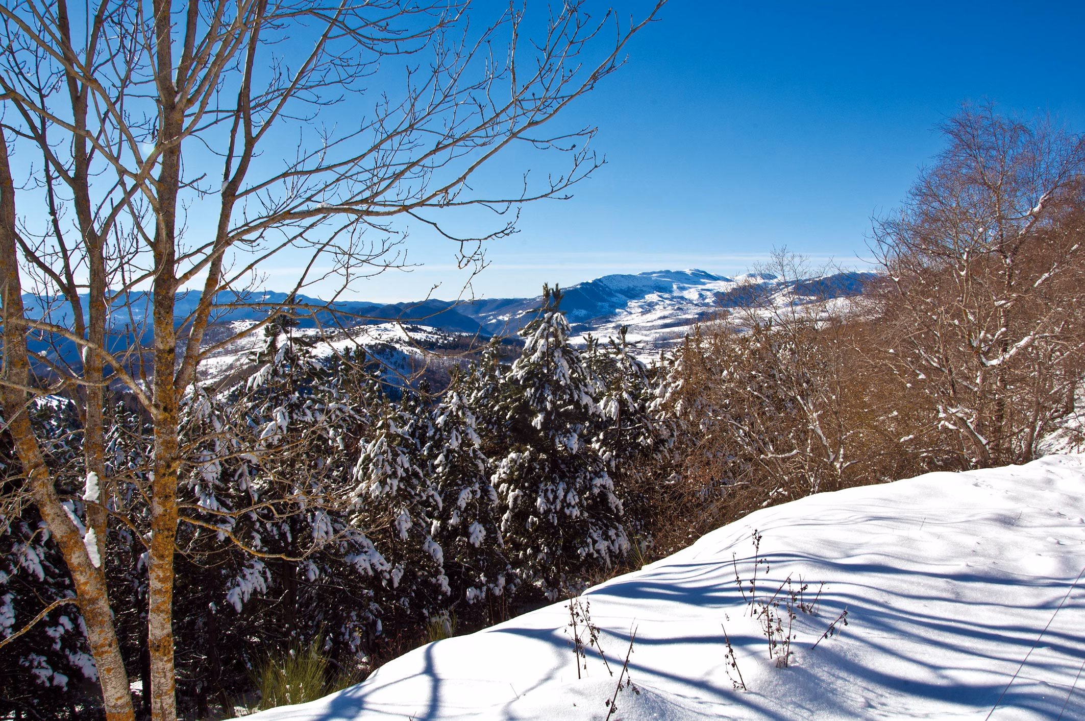 Schneefeld mit Spuren und Fernblick auf Bergrücken bei Molló