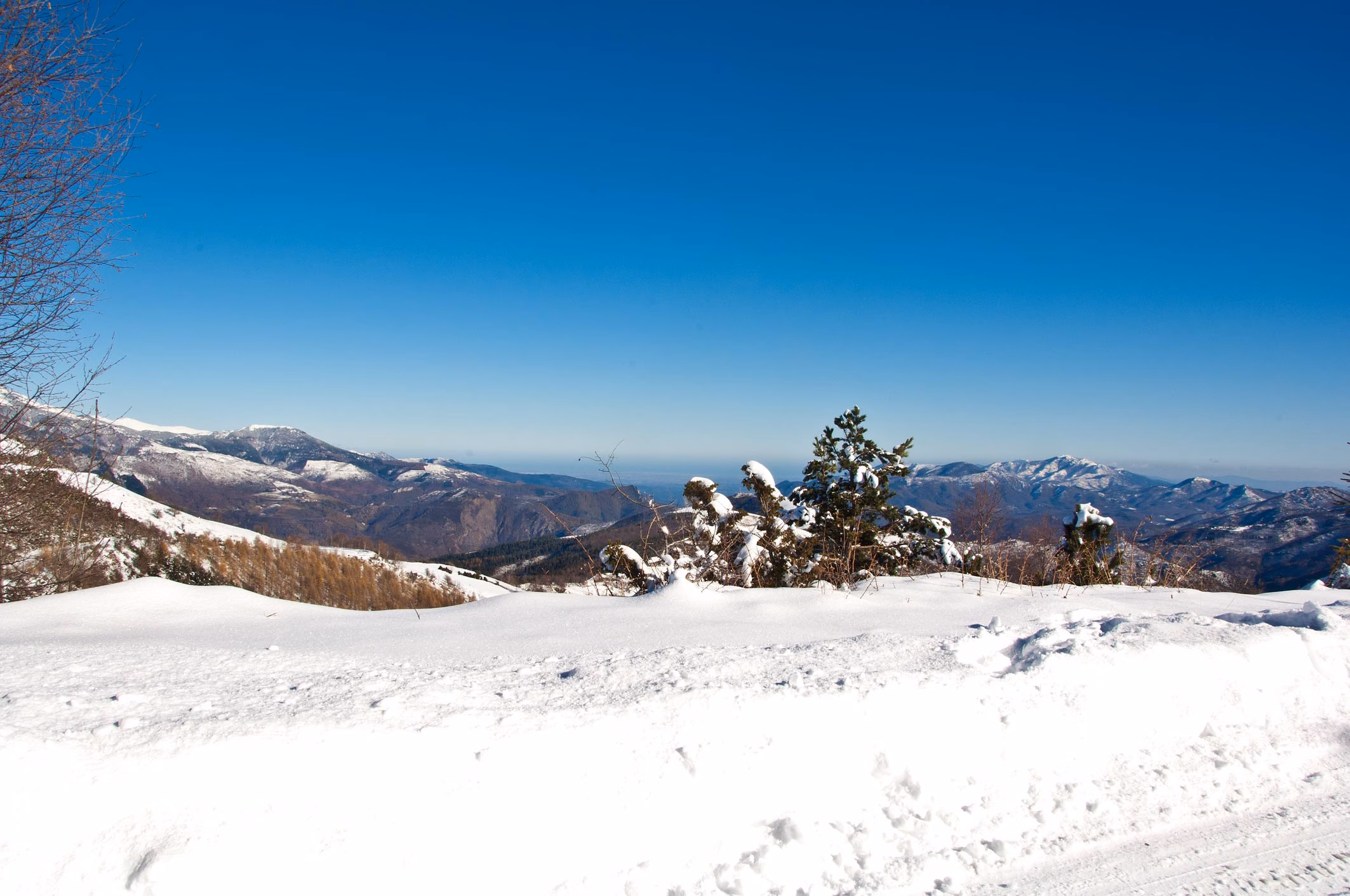 Verschneiter Hang mit Bäumen und blauem Himmel in den Pyrenäen
