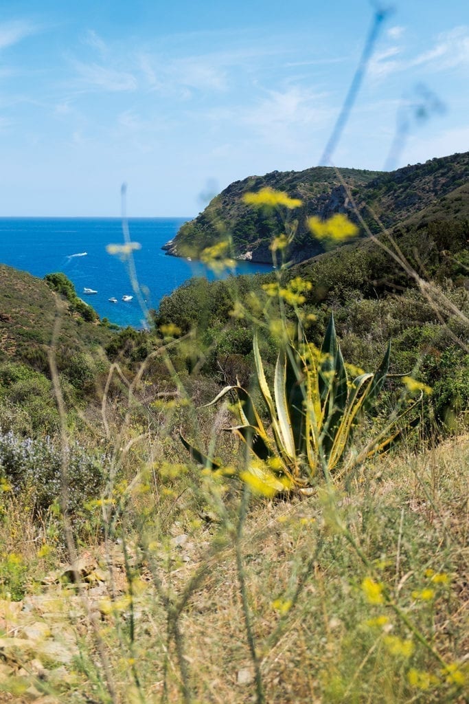 Ocean view from the mountains