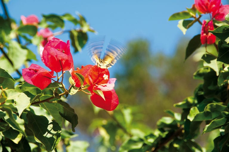 Momentaufnahme in den Jardins.