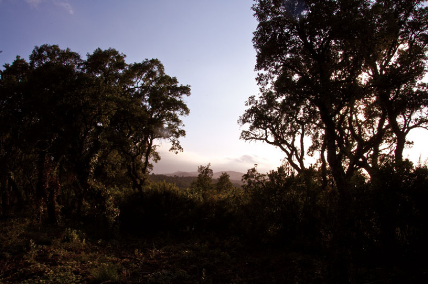 Herbstliche Landschaft an der Costa Brava. 