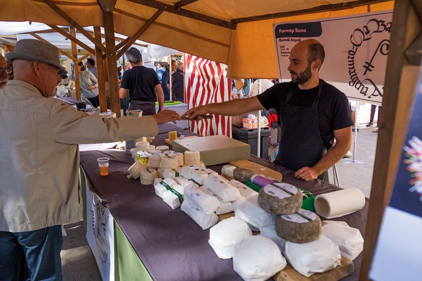 llado-feria-de-quesos-8