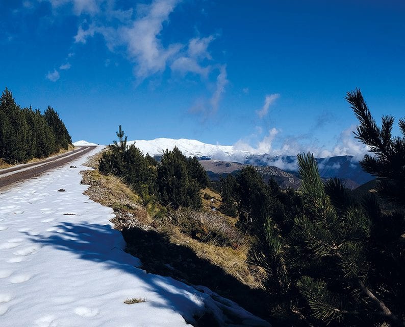 Auf Erkundungstour durch den Schnee.