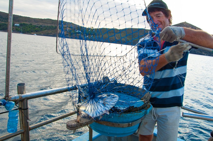 Fisch im Fischernetz
