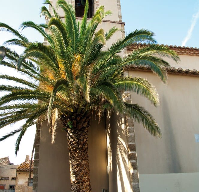 Idylle vor der Kirche in Sant Climent.