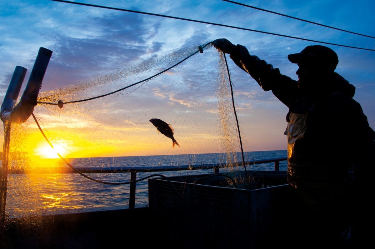 Erster Fisch im Netz bei gigantischem Sonnenaufgang