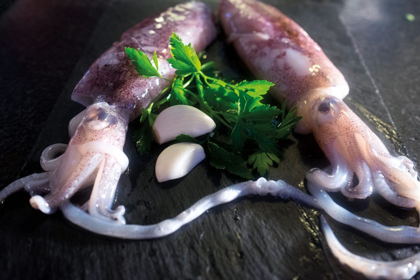 Rohe Tintenfische