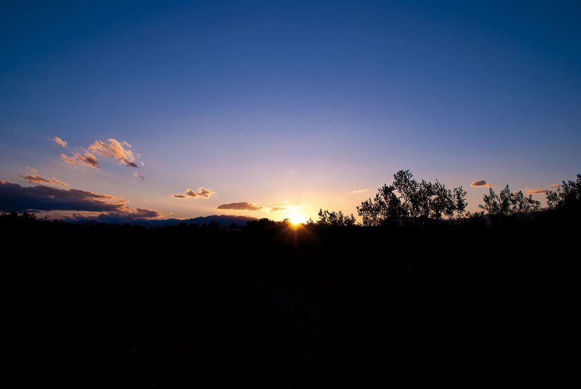 Sonnenuntergang am Weinberg