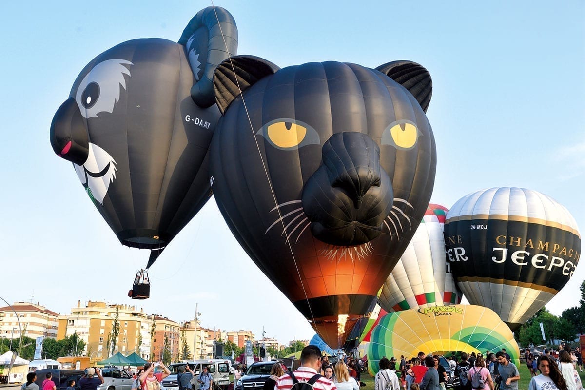 Ballons in Form von Koala und Panther