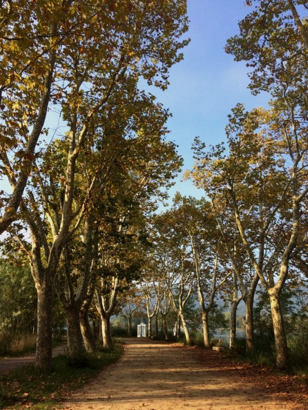 banyoles see bäume