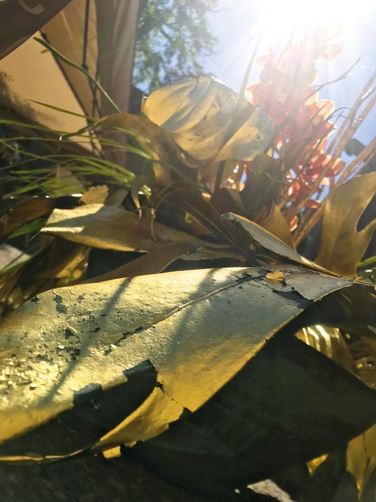 Temps de Flors 2019