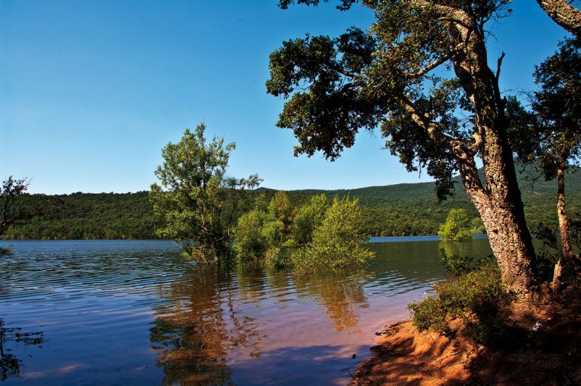 Korkeichen am Boadella Stausee im Hinterland der Costa Brava