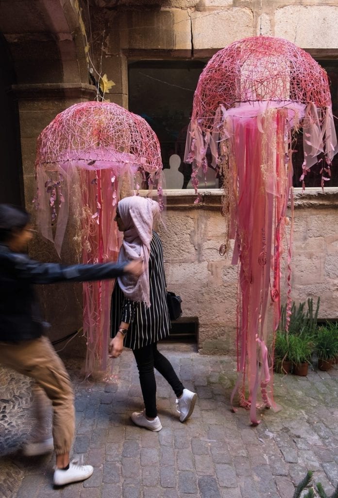 Temps de Flors 2019