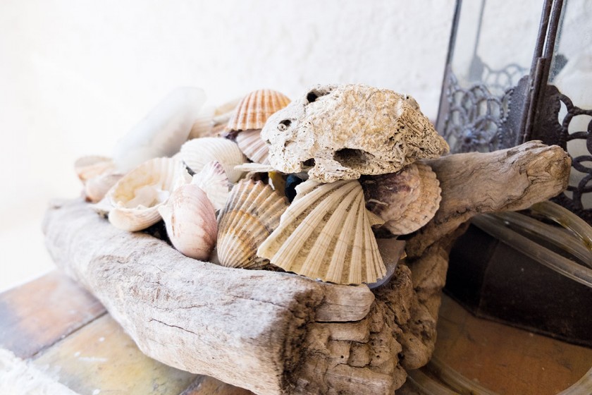 Strandschätze für zu Hause