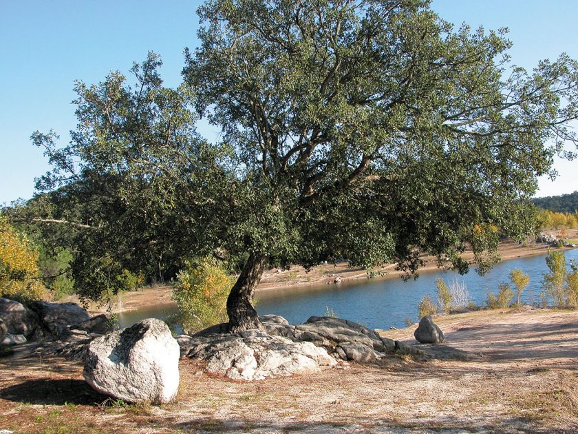 Stausee Darnius