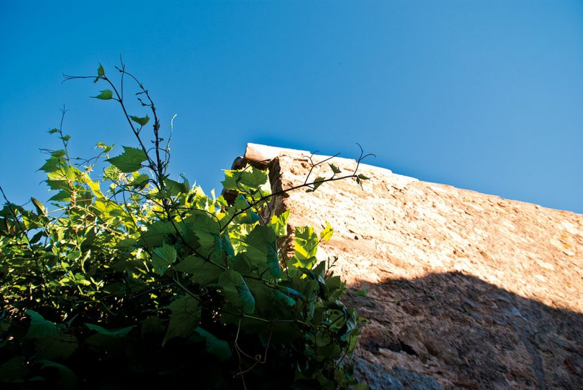 Weinberanktes Landhaus an der Costa Brava